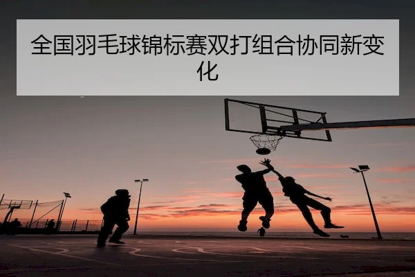 全国羽毛球锦标赛双打组合协同新变化